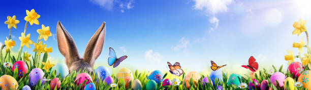 easter - bunny and decorated eggs in flowery field - easter egg easter grass spring imagens e fotografias de stock