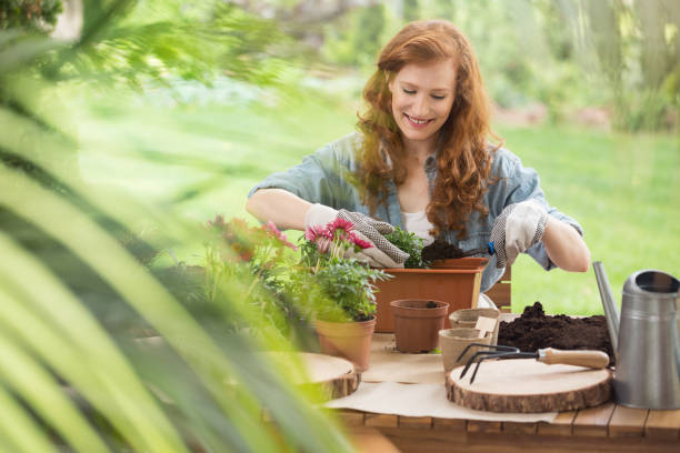 Blog about gardening equipment