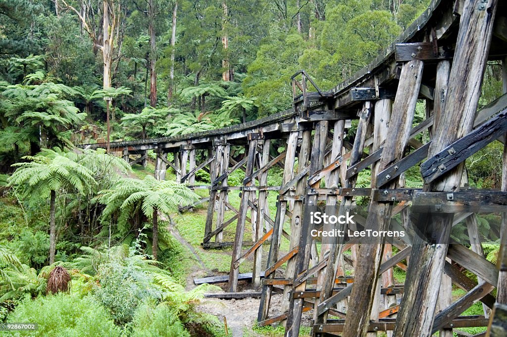 Bush ponte ferroviária - Foto de stock de Dandenong royalty-free