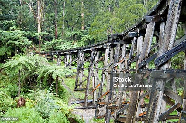 Foto de Bush Ponte Ferroviária e mais fotos de stock de Dandenong - Dandenong, Arbusto, Locomotiva a vapor