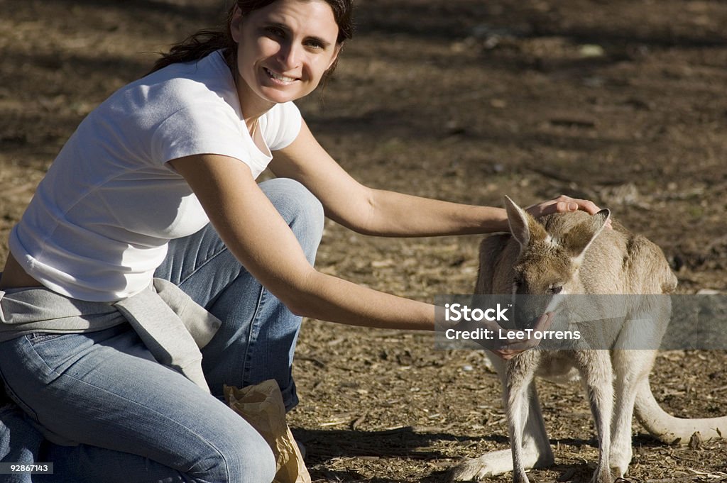 Kanga-feeding A young woman hand feeds a tame young Kangaroo. Adult Stock Photo