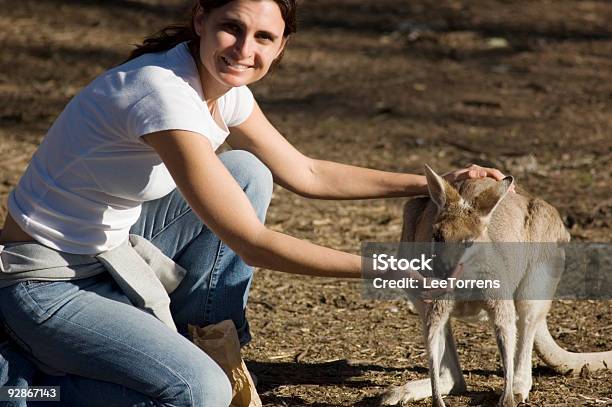 Kangafeeding Stock Photo - Download Image Now - Adult, Agility, Animal