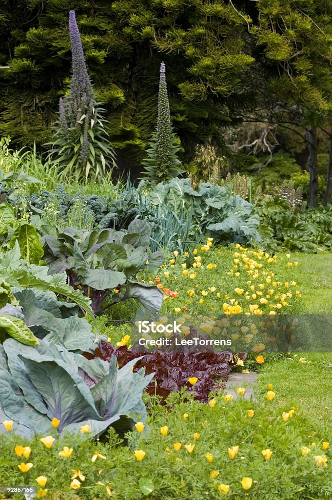 Flor & Horta - Royalty-free Agricultura Foto de stock
