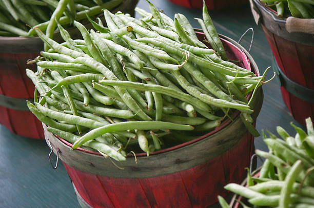 grüne bohnen - green bean bean green bucket stock-fotos und bilder