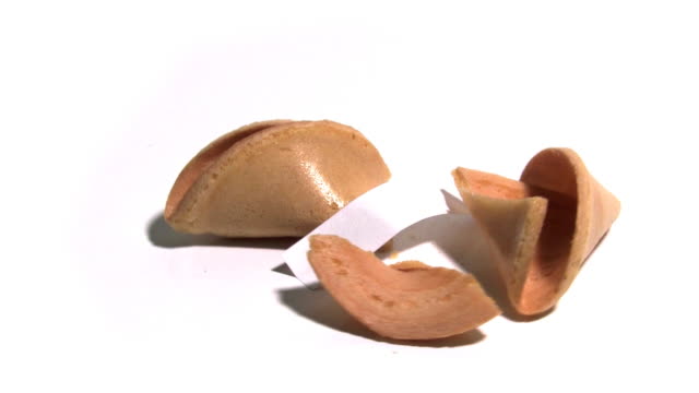 Chinese Fortune Cookie (opened)