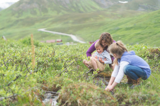 istock Mom looks for fish in a tiny Alaska stream with her two children 928702620