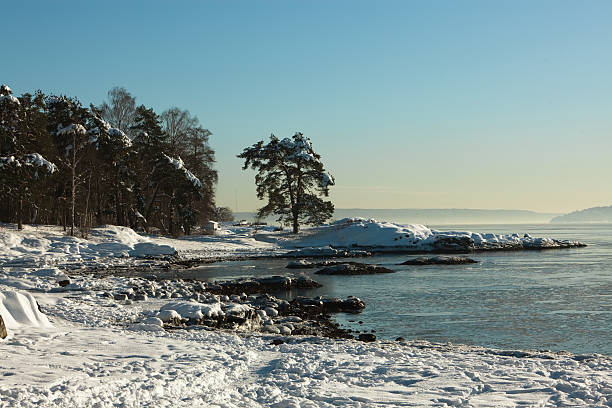 Beautiful snowy landscape by the sea at sunset.  8564 stock pictures, royalty-free photos & images
