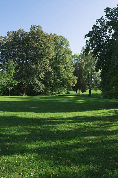 istock Green park  with large old decideous trees and shaded areas. 92870688