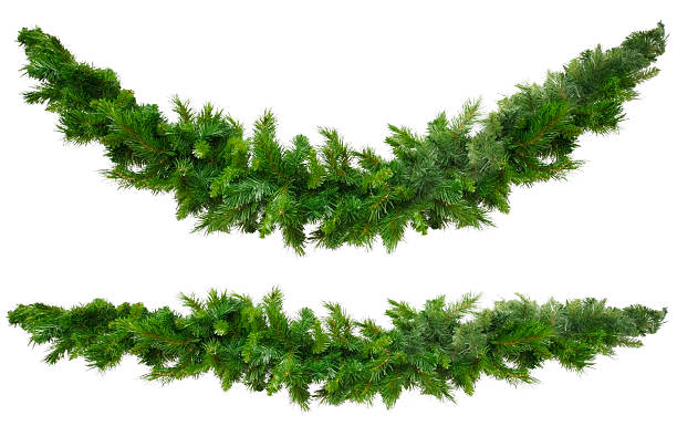 Christmas Garlands  needle plant part photos stock pictures, royalty-free photos & images