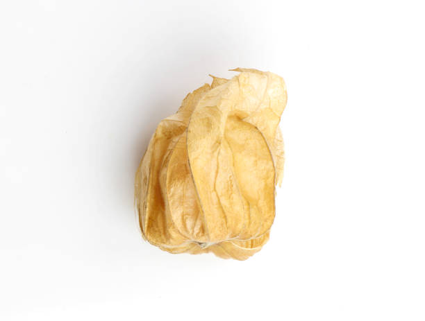 istock Cape gooseberry on a white background. 928715056