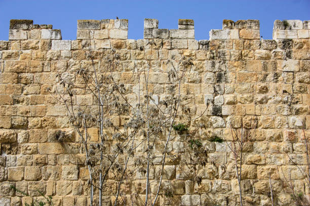istock Old city of Jerusalem 928725464