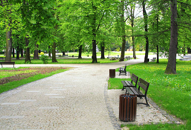 Nice place to walk