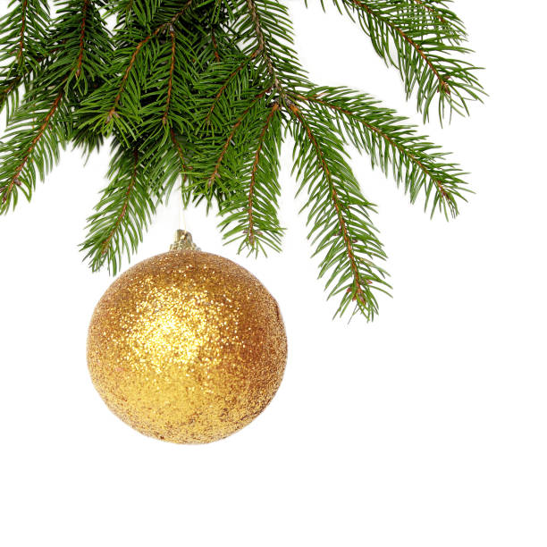 istock Green Christmas Twig With Gold Bauble 92873675