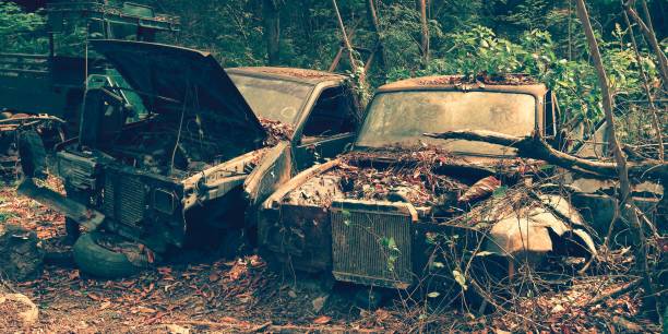 istock Forest Relic Old Car rusting away in the Forest 928743822