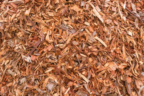 Photo of Full frame view of mulch