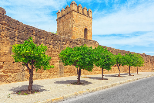 Wall of Seville (Muralla almohade de Sevilla) are a series of defensive walls surrounding the Old Town of Seville. The city has been surrounded by walls since the Roman period.