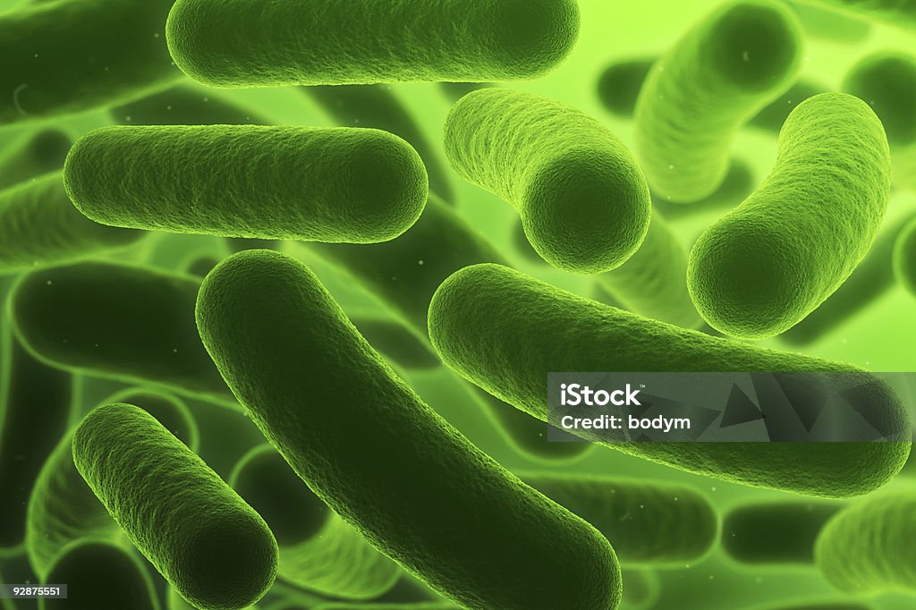 Bakterien. - Lizenzfrei Bakterie Stock-Foto