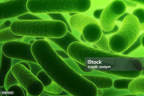 Bacteria Stock Photo - Download Image Now - Backgrounds, Bacterium, Biology