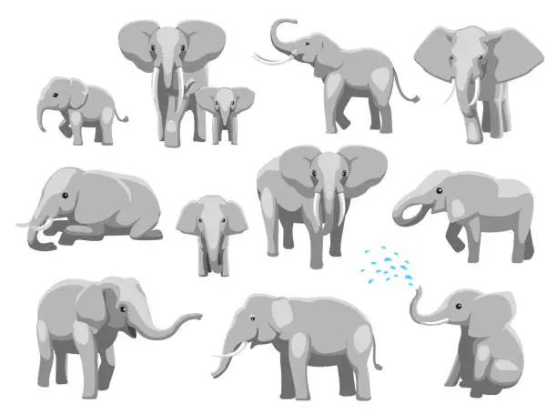 Vector illustration of Various Elephant Poses Cartoon Vector Illustration
