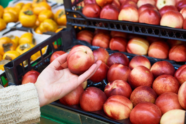 istock Nectarines in hand of buyer at store 928759672