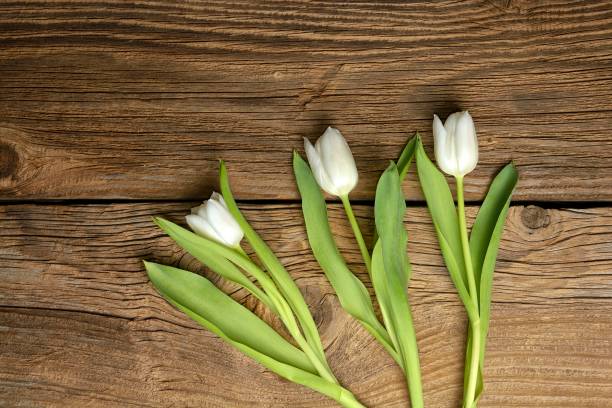 istock White tulips on rustic wooden background 928762148