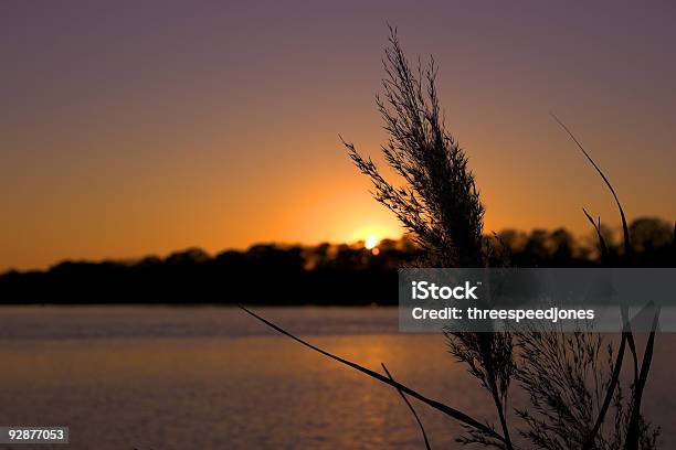 Sonnenaufgang Über Dem Fluss Chester Stockfoto und mehr Bilder von Abenddämmerung - Abenddämmerung, Betrachtung, Blatt - Pflanzenbestandteile