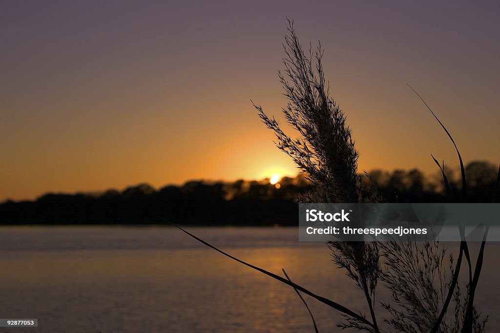 Nascer do sol sobre o Rio Chester - Royalty-free Anoitecer Foto de stock