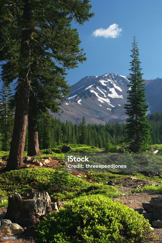 Mount Shasta Mountain View View of Mt. Shasta stratovolcano in northern California.  Vertical composition. Mt Shasta Stock Photo