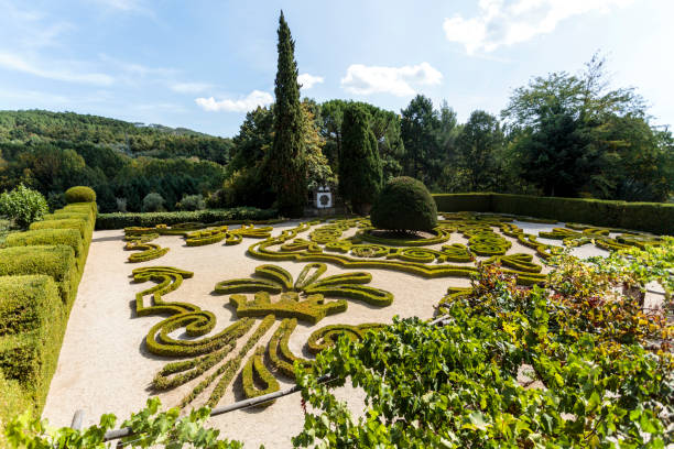 Spectacular French style garden made up of tailored boxwood, Buxus sempervirens, in Mateus Palace, Vila Real Portugal
