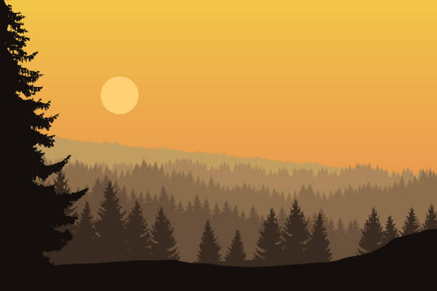 istock Vector landscape with forest and trees under the morning sky with rising sun 928771616