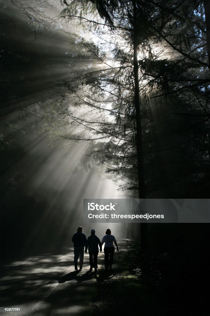 En la niebla - Foto de stock de Mujeres jóvenes libre de derechos