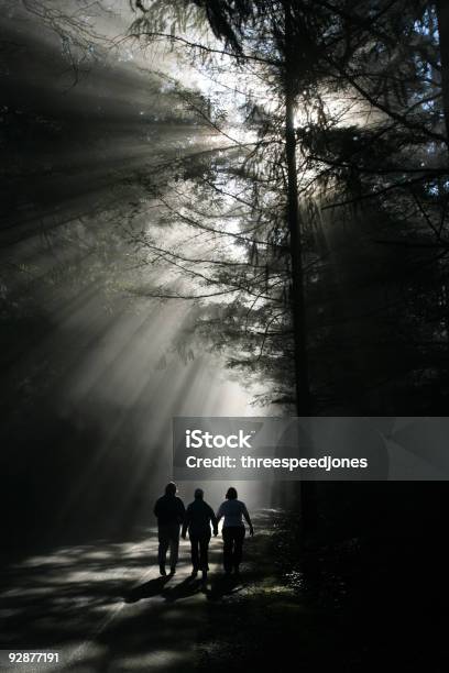 Photo libre de droit de Dans La Brume banque d'images et plus d'images libres de droit de Jeunes femmes - Jeunes femmes, Silhouette - Contre-jour, Trois personnes