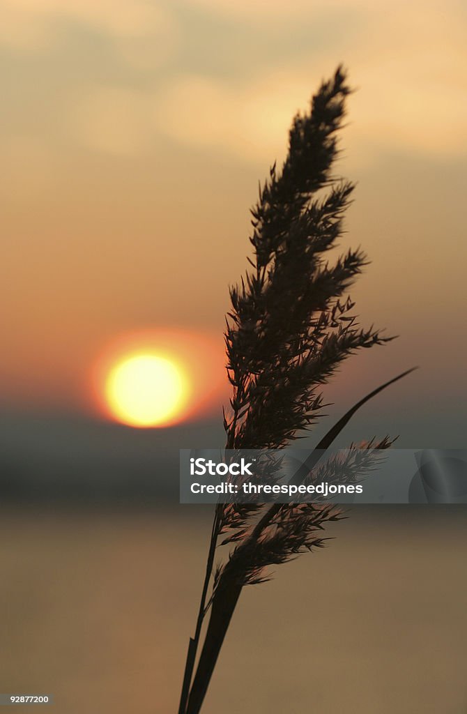 Coucher de soleil de Chesapeake - Photo de Maryland - État libre de droits