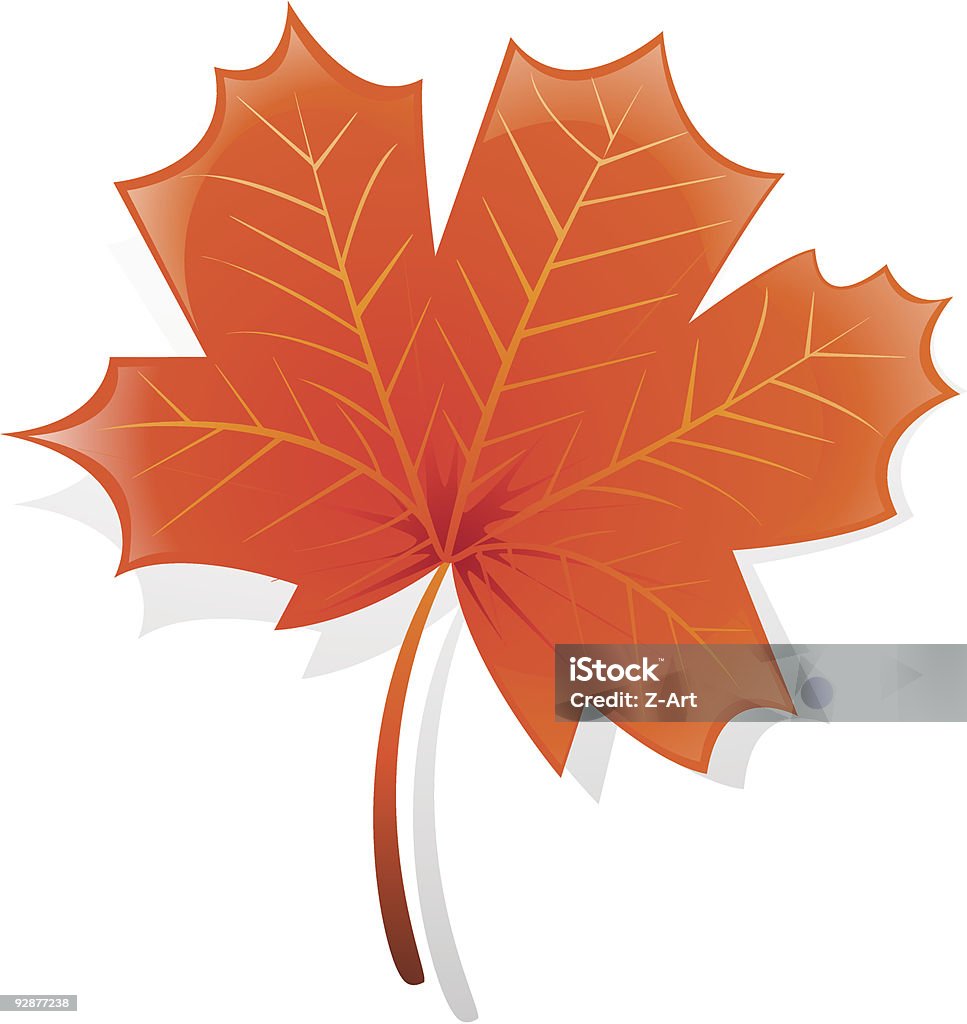 Outono maple leaf - Vetor de Beleza natural - Natureza royalty-free