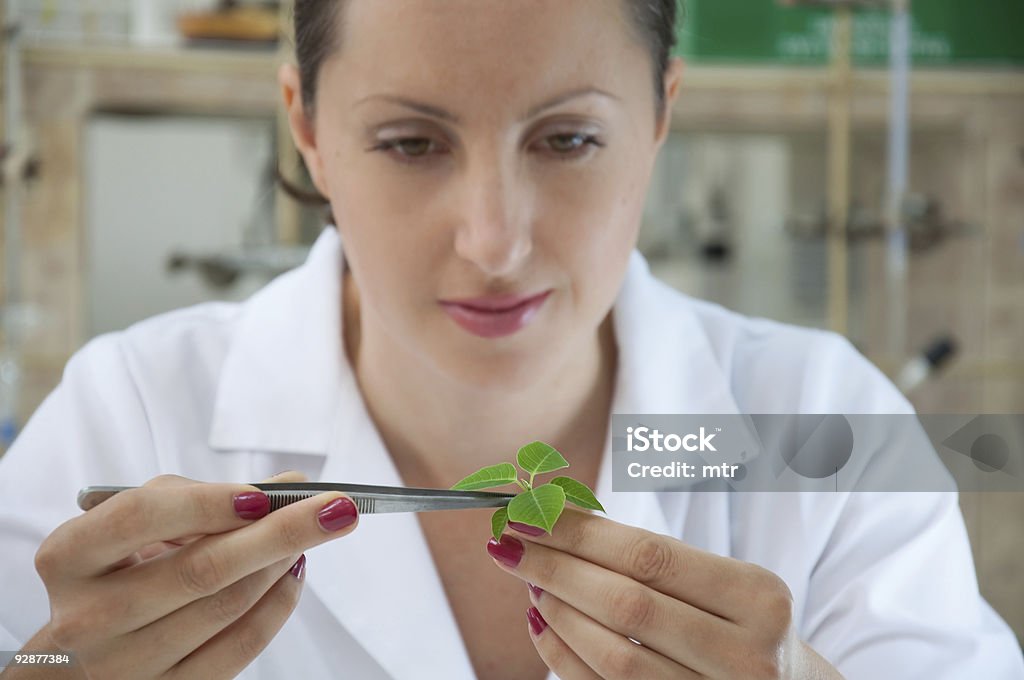 Cientista mulher Pesquisador examinar planta Verde - Foto de stock de Adulto royalty-free