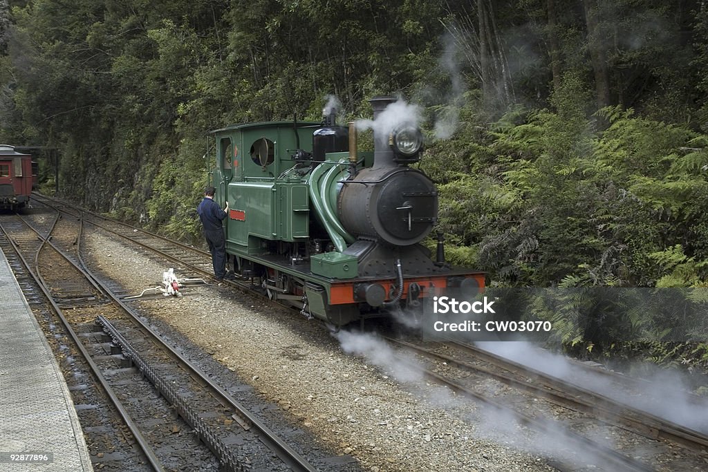 タスマニア荒野蒸気機関車 - Hvacのロイヤリティフリーストックフォト