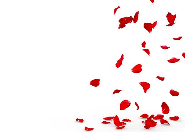 istock Rose petals fall to the floor 928783336