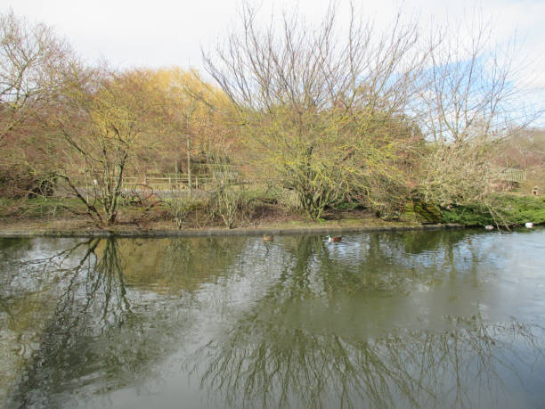 istock Public park with a lake still frozen 928783746