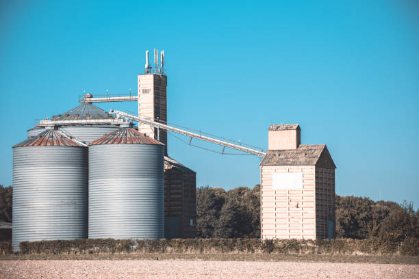 istock Farm grain silos for agriculture 928784252