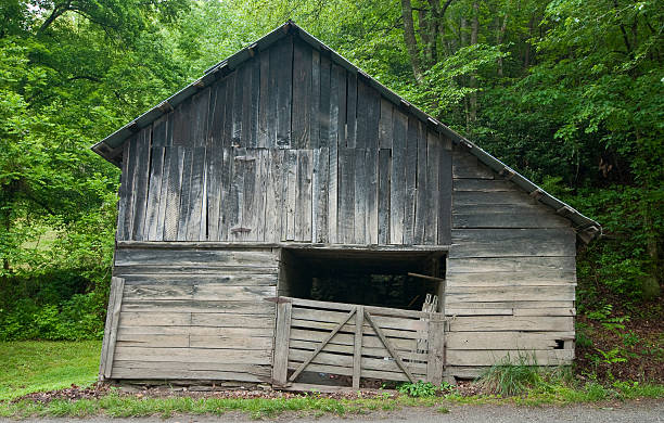 istock Old Wood Barn with Woods in the Background 92879020