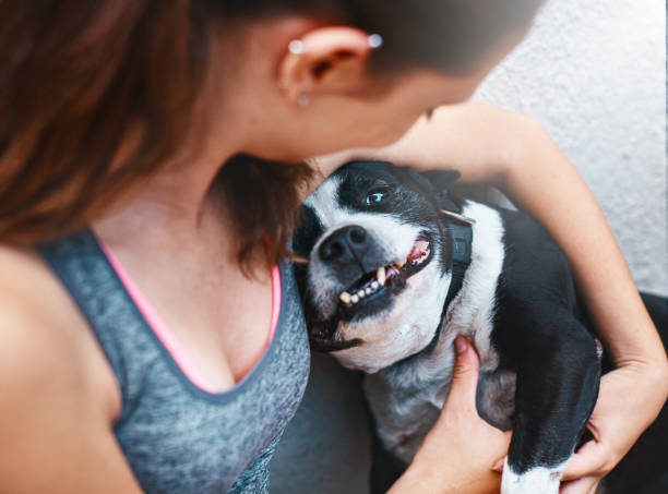 istock Puppy love: girl cuddling her ecstatic pet dog 928790382