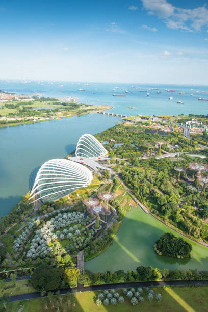 blick auf die skyline von singapur innenstadt cbd - singapore harbour stock-fotos und bilder