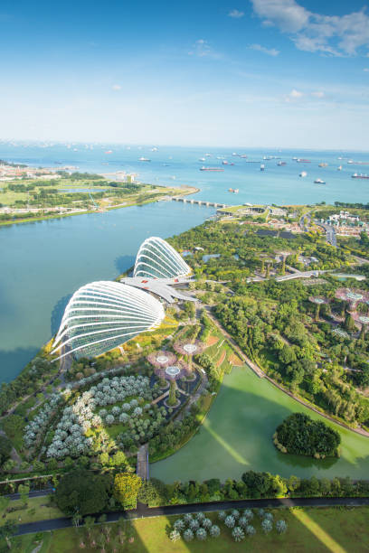 vue sur les toits du centre-ville de singapour cdb - gardens by the bay photos et images de collection