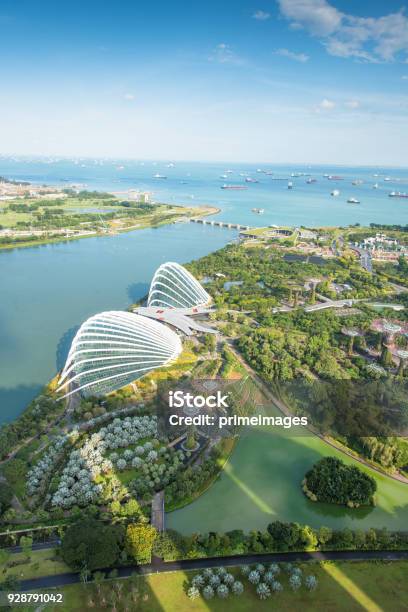 View Of The Skyline Of Singapore Downtown Cbd Stock Photo - Download Image Now - Singapore, Singapore City, Gardens by the Bay