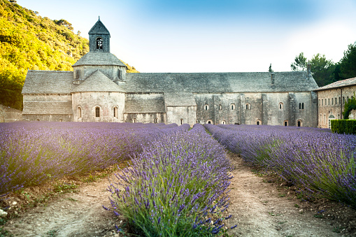Senanque Abbey Provence
