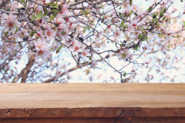 istock wooden rustic table in front of spring cherry blossoms tree. product display and picnic concept. 928805042