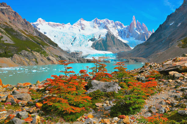 petits arbres d’automne au bord du lac près du mont cerro torre. - patagonie argentine photos et images de collection