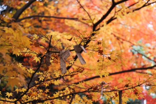 El mensaje de otoño color photo