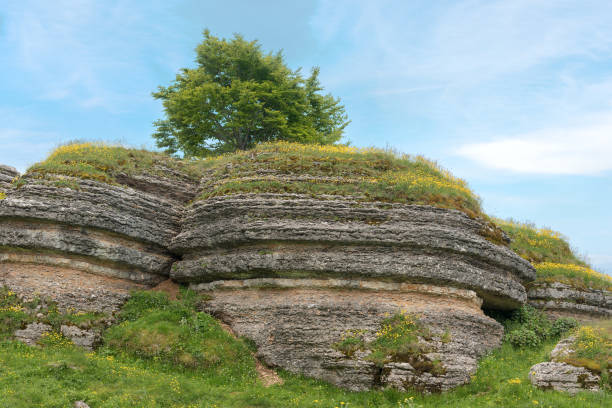 Unusual karst erosion formation in the Regional Natural Park of Lessinia (altopiano della Lessinia), Veneto, Verona, Italy, Europe