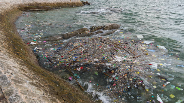 istock garbage on the baech Beach pollution. Plastic bottles and other trash on sea beach 928810090
